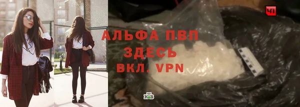 стафф Богородицк