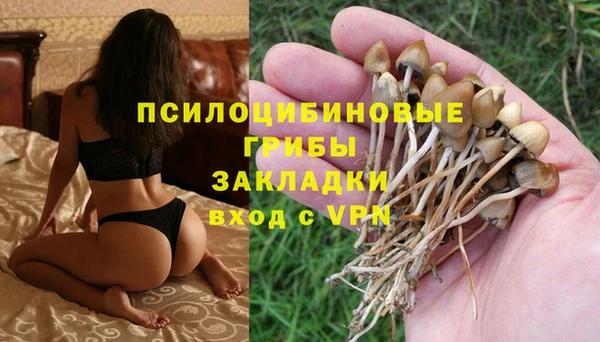 прущие крисы Бугульма