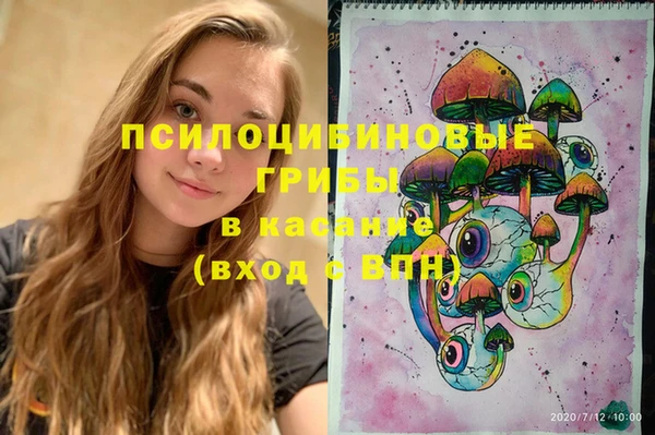 стафф Богородицк