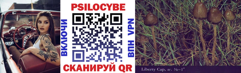 Псилоцибиновые грибы Magic Shrooms  купить   ОМГ ОМГ зеркало  Калуга 