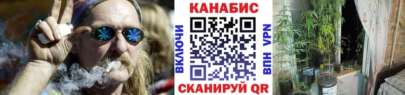 Бошки Шишки Amnesia  где можно купить   Калуга 